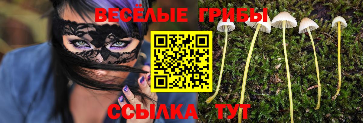Псилоцибиновые грибы Magic Shrooms  дарнет шоп  Галлюциногенные грибы Cubensis  Муравленко  Вход с VPN 